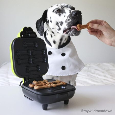 GoodBone Dog Treat Maker