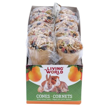 Cone Fruit Flavour Small Pet Treat