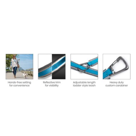 Quantum 1in Blue Dog Leash