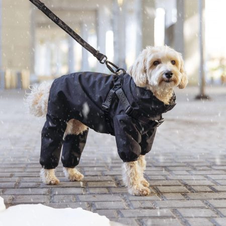 Harness Black Snowsuit