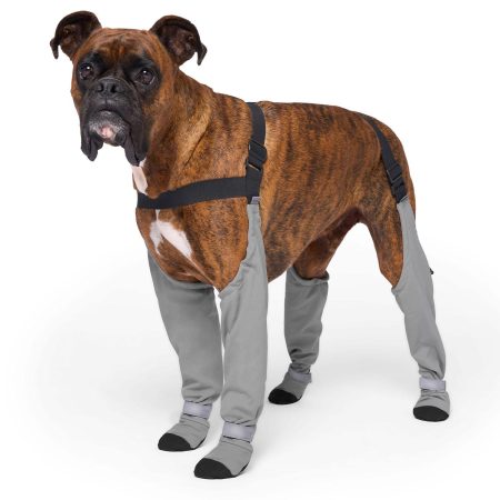 Suspender Short Grey Dog Boots