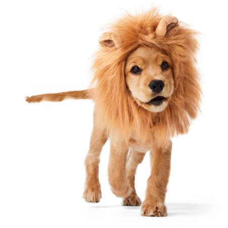 Lion Headpiece Halloween Costume