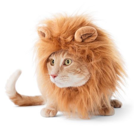 Lion Headpiece Halloween Costume