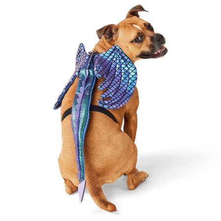 Glow-in-the-Dark Dragon Halloween Harness