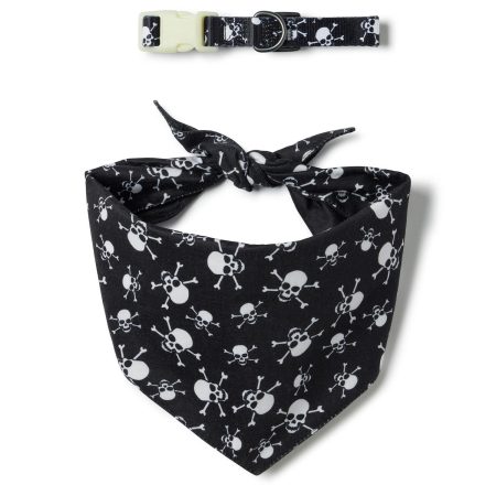 Skull & Bone Glow-in-the-Dark Halloween Collar & Bandana Set