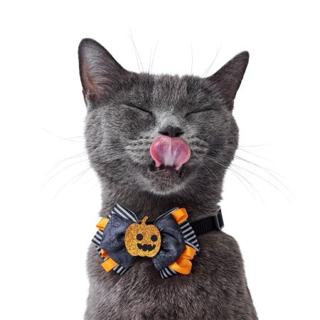 Pumpkin Halloween Bowtie