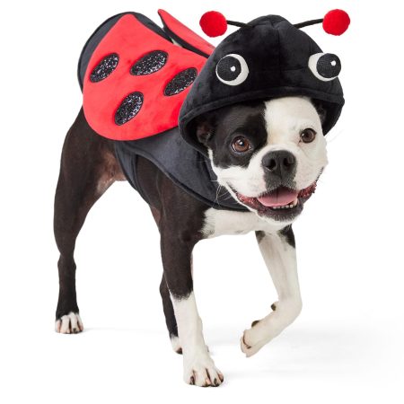 Lady Bug Halloween Costume