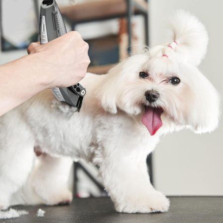 Lithium Battery Cordless Pet Clipper