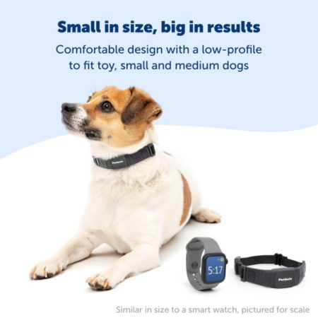 NanoBark Small Dog Collar