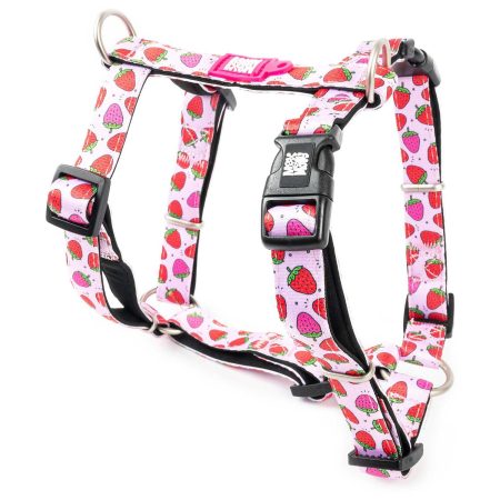 Neoprene Strawberry Dog H-Harness