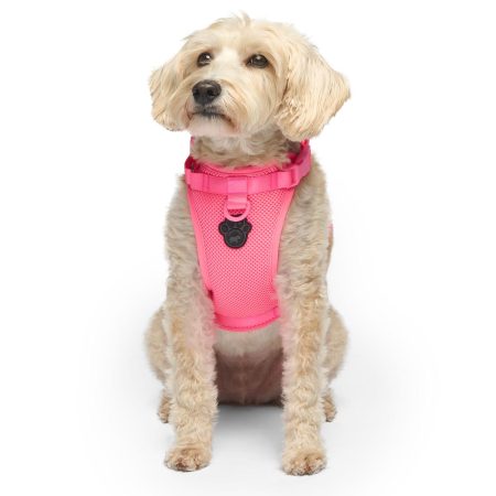 The Everything Mesh Neon Pink Dog Harness