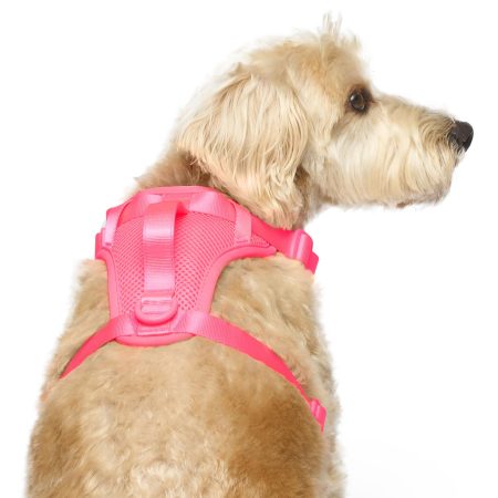 The Everything Mesh Neon Pink Dog Harness