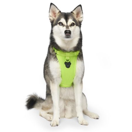 The Everything Mesh Neon Green Dog Harness