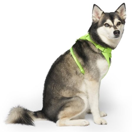 The Everything Mesh Neon Green Dog Harness