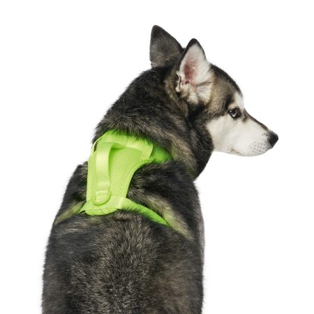 The Everything Mesh Neon Green Dog Harness