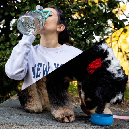 Blue Barkley Bottle