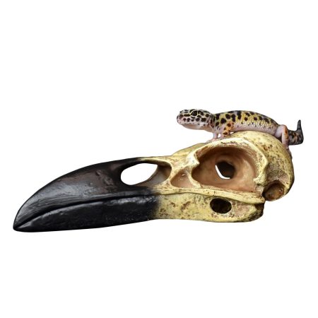 Raven Skull