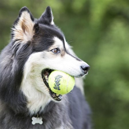 SqueakAir Ball XL Dog Toy