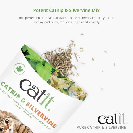 Catnip & Silvervine Bag