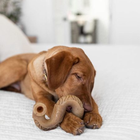 Tripe Bone Dog Toy