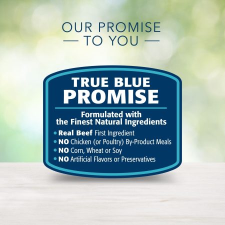 Blue Buffalo BLUE Life Protection Formula™ Beef & Brown Rice Recipe Adult Dry Dog Food, 22-lb