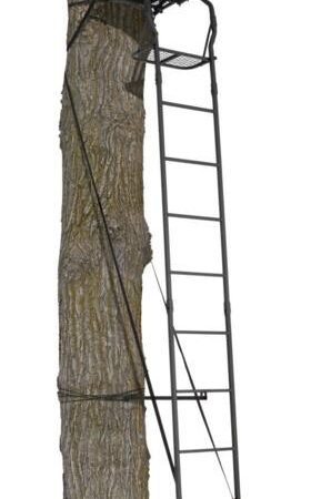 Big Game Warrior Pro Single 1-Person Ladder Tree Stand w/ Seat & Armrests For Hunting, 16-ft