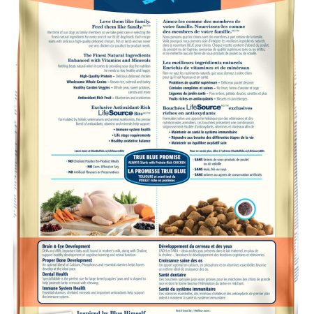 Blue Buffalo BLUE Large Breed Chicken & Brown Rice Puppy Dry Dog Food, 10.1-kg