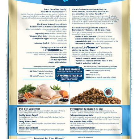 Blue Buffalo BLUE Chicken & Brown Rice Puppy Dry Dog Food, Assorted Sizes