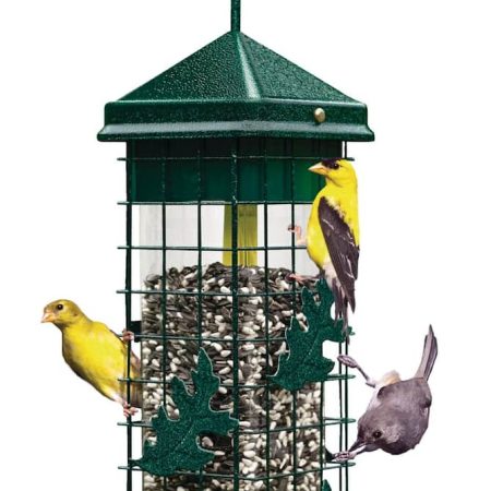 Brome Squirrel Solution 200 Outdoor Hanging Easy Bird Feeder, 3.4-lb