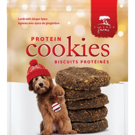 Caledon Farms All Natural Protein Dog Treat Cookies, Lamb with Ginger Spice, 227-g