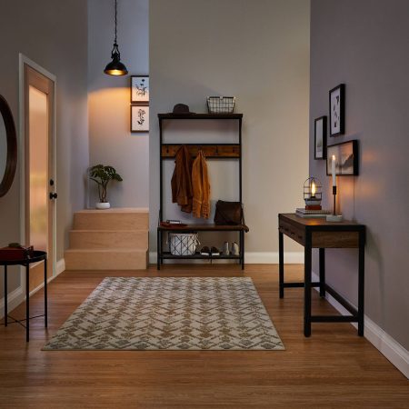 CANVAS Ossington 2-Drawer Metal Frame Hallway Accent Console Table/Desk, Salt Oak Finish