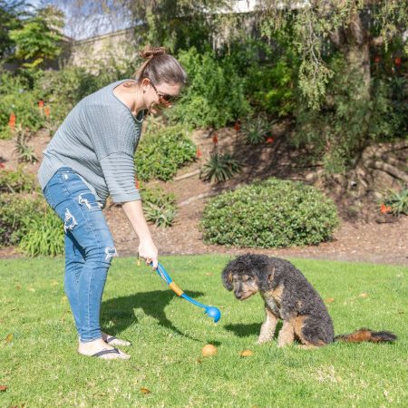 Chuckit! Fetch & Fold Mini Launcher