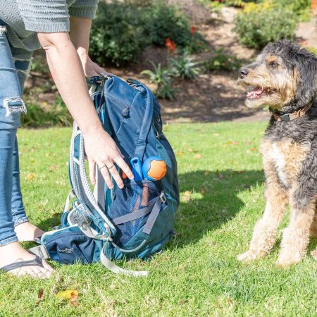 Chuckit! Fetch & Fold Mini Launcher