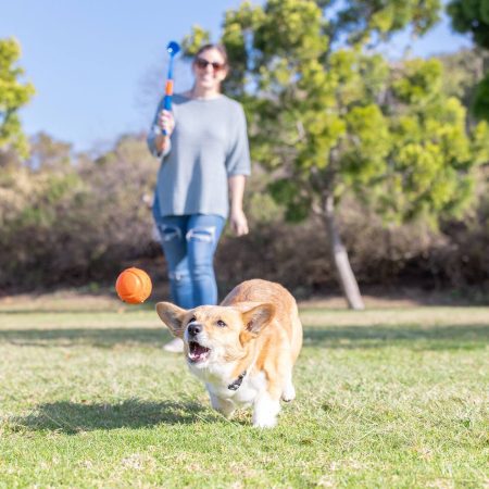 Chuckit! Fetch & Fold Mini Launcher