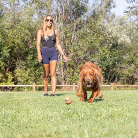 Chuckit! Ultra Rubber Ball Dog Toy, Large, Orange