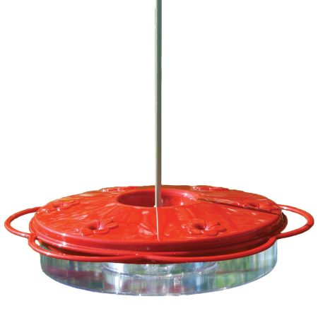 Panacea Classic Easy Hang Hummingbird Dish Feeder with Ant Guard, 12-oz