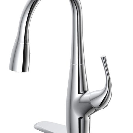 Danze Dellen Single Handle Pull Down Kitchen Faucet, Chrome