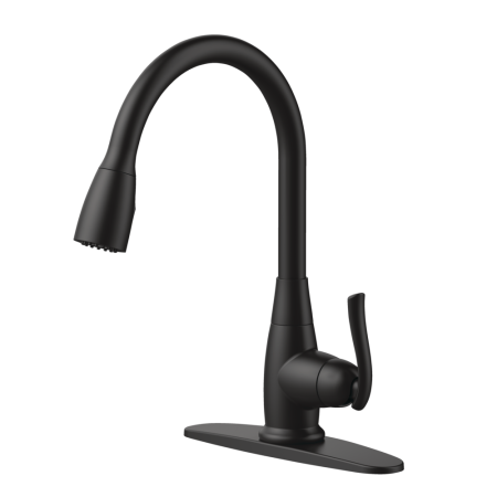 Danze Terrazo 1-Handle Pull Down Kitchen Faucet, Matte Black