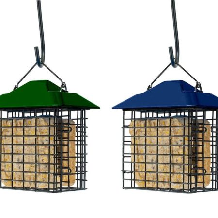 Double Suet Cage Bird Feeder