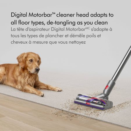 Dyson V15 Detect Cordless Stick Vacuum Cleaner