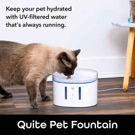 Geeni Smart Pet Water Fountain