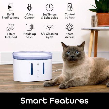 Geeni Smart Pet Water Fountain