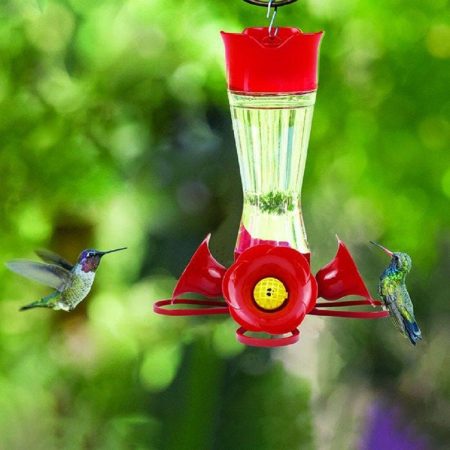 Perky Pet Yule Hyde Glass Hummingbird Feeder, 8-oz