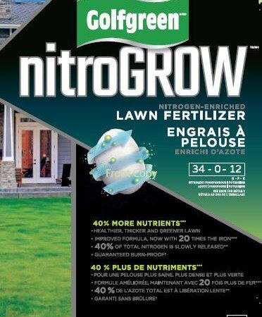 Golfgreen NitroGROW Nitrogen-Enriched Lawn Fertilizer, 34-0-12, 800-m2