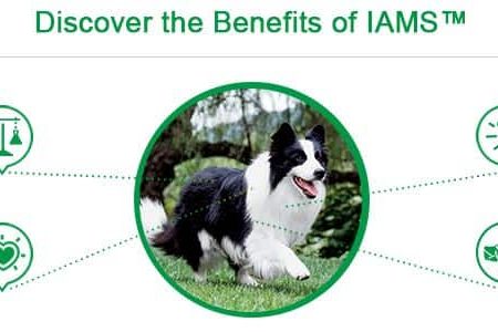 IAMS™ Adult Minichunks Dry Dog Food Chicken & Whole Grains Recipe, 3.18-kg