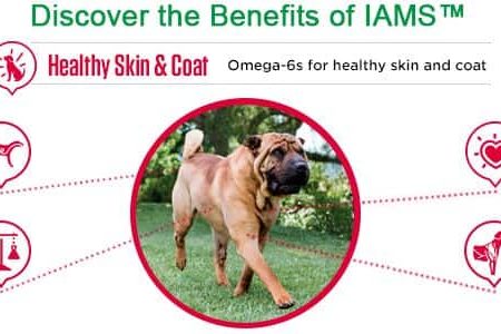 IAMS Healthy Adult Lamb & Rice Dry Dog Food, 6.9-kg