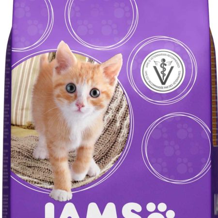 IAMS Proactive Health Playful Kitten Dry Cat Food, 1.6-kg