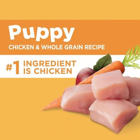 IAMS Proactive Health™ Chicken & Whole Grains Recipe Puppy Dry Dog Food, 6.8-kg