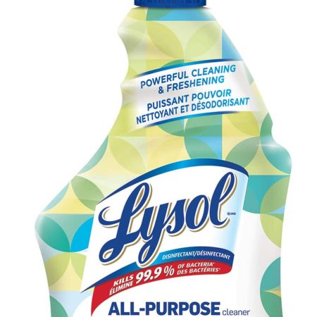 Lysol 4-in-1 Disinfectant All-Purpose Cleaner Spray, Green Apple, 650-mL