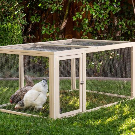 New Age Pet® Standard Fontana Chicken Pen